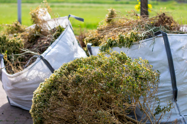 Best Construction Debris Removal  in Blaine, TN
